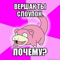 вершак ты слоупок. почему?