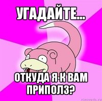 угадайте... откуда я к вам приполз?