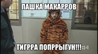 пашка макарров тигрра попррыгун!!!