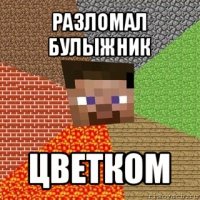 разломал булыжник цветком