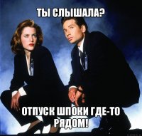 ты слышала? отпуск шпоки где-то рядом!