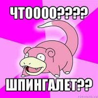 чтоооо??? шпингалет??