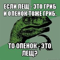 если лещ - это гриб и опенок тоже гриб, то опенок - это лещ?