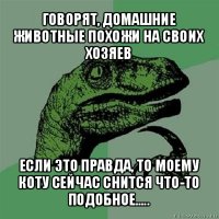 говорят, домашние животные похожи на своих хозяев если это правда, то моему коту сейчас снится что-то подобное…..