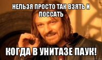 нельзя просто так взять и поссать когда в унитазе паук!