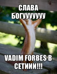 слава богууууууу vadim forbe$ в сетиии!!!