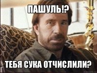 пашуль!? тебя сука отчислили?