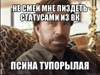 не смей мне пиздеть статусами из вк псина тупорылая