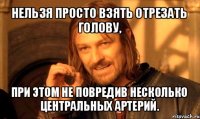 нельзя просто взять отрезать голову, при этом не повредив несколько центральных артерий.