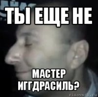 ты еще не мастер иггдрасиль?