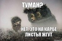 Туман? Нет, это на Карбе листья жгут