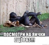  посмотри на яички ещё раз!!!