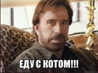  еду с котом!!!