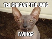 ты сказал что uwc гауно?