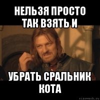 нельзя просто так взять и убрать сральник кота