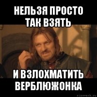 нельзя просто так взять и взлохматить верблюжонка