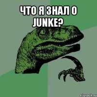 что я знал о junke? 