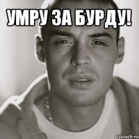 умру за бурду! 