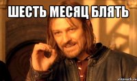 шесть месяц блять 