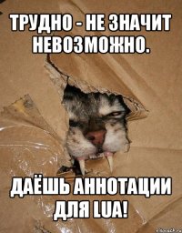 трудно - не значит невозможно. даёшь аннотации для lua!