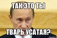 так это ты тварь усатая?