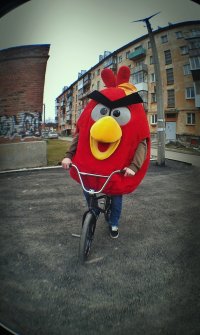  Angry bird на велике