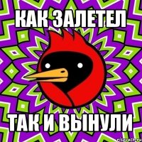 как залетел так и вынули