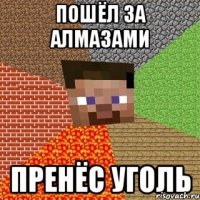 пошёл за алмазами пренёс уголь