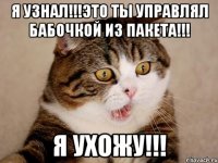 я узнал!!!это ты управлял бабочкой из пакета!!! я ухожу!!!