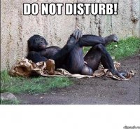 do not disturb! 