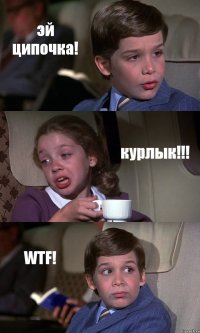 эй ципочка! курлык!!! WTF!