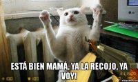  está bien mamá, ya la recojo, ya voy!