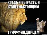 когда я вырасту, я стану настоящим гриффиндорцем