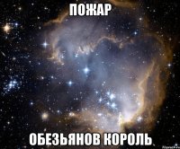 пожар обезьянов король