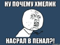 ну почему хмелик насрал в пенал?!