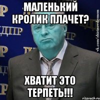 маленький кролик плачет? хватит это терпеть!!!