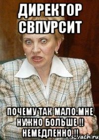 директор свпурсит почему так мало.мне нужно больше !! немедленно !!