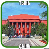 тынь дынь