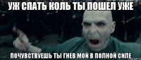 уж спать коль ты пошел уже почувствуешь ты гнев мой в полной силе