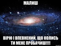 малиш вірю і впевнений, що колись ти мене пробачиш!!!