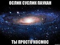 ослик суслик паукан ты просто космос