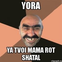 yora ya tvoi mama rot shatal