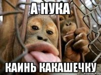 а нука каинь какашечку