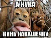 а нука кинь какашечку