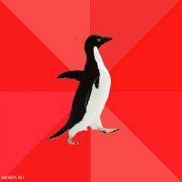Создать мем  социально-агрессивный пингвин