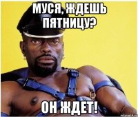 муся, ждешь пятницу? он ждет!