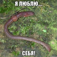 я люблю.... себя!