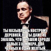 Ты называешь Кострому деревней, но ты даже не знаешь, что в нашем городе целых 3 Хаммера, два черных и один желтый.