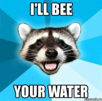 i'll bee your water