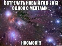 встречать новый год 2013 одной с ментами... космос!!!